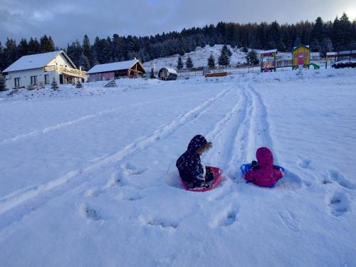 two children are sitting in the snow on snowboards at Cabana Deasupra Norilor in Gheorgheni