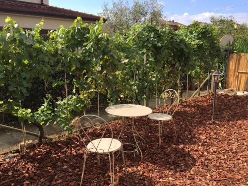two tables and chairs in a garden with vines at Il Casale Del Giglio in Santo Stefano di Magra