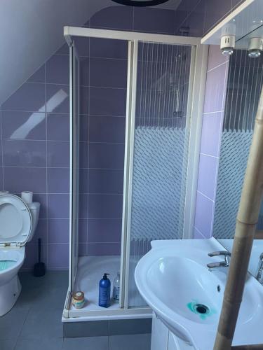 La salle de bains est pourvue d'une douche, d'un lavabo et de toilettes. dans l'établissement Le Korrigan, à Saint-Jacques-de-la-Lande