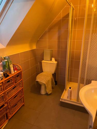 uma casa de banho com um WC e um chuveiro em Le Korrigan em Saint-Jacques-de-la-Lande