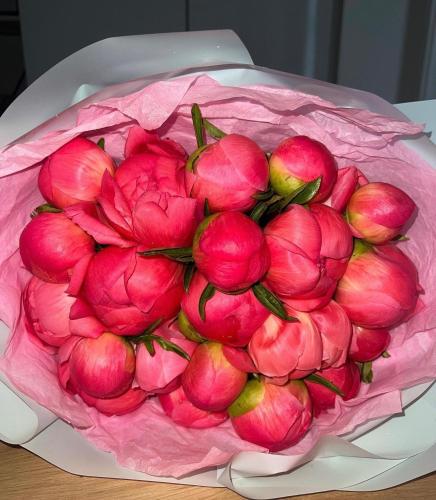 a pile of red apples on a plate on a table at Luxury B&B Resort in Anzio
