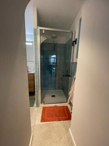 une salle de bain avec une douche avec une porte vitrée dans l'établissement Quartier San Damianu - Sartène, à Sartène