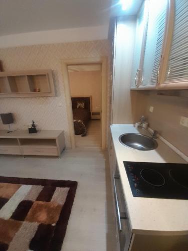 Kuchyň nebo kuchyňský kout v ubytování 2 Room Apartment Harmony Suites Komplex