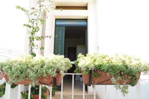 a porch with potted plants and a blue door at B&B La Porta D'Oriente in Martano