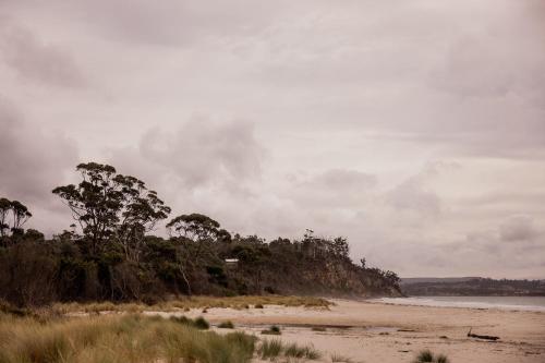 a sandy beach with trees and the ocean on a cloudy day at 'Sisters' - Cliff top cabin with hot tub in Spring Beach