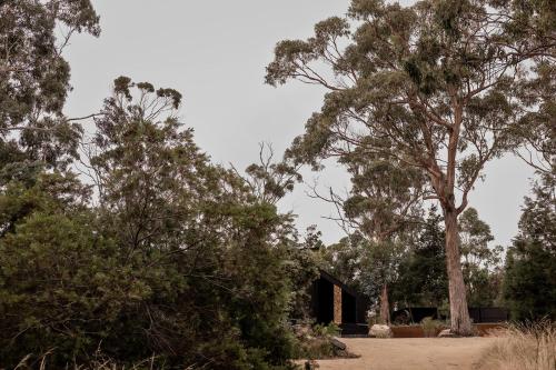a house in the woods with trees in the foreground at 'Sisters' - Cliff top cabin with hot tub in Spring Beach