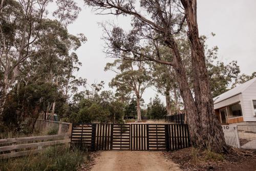 a fence and a tree next to a house at 'Sisters' - Cliff top cabin with hot tub in Spring Beach