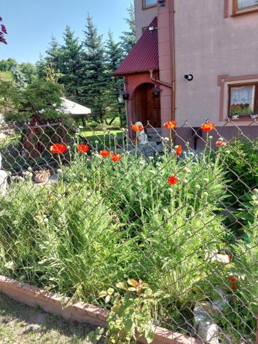 a garden with red flowers in front of a house at Noclegi Szczebrzeszyn in Szczebrzeszyn