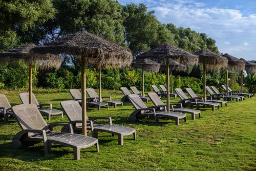 a row of chairs and umbrellas on the grass at Nomaddicts in Cádiz