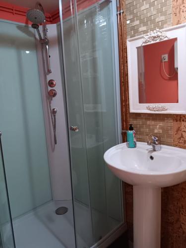 ein Bad mit einem Waschbecken und einer Dusche in der Unterkunft Chez Vladimir in Criquebeuf-en-Caux