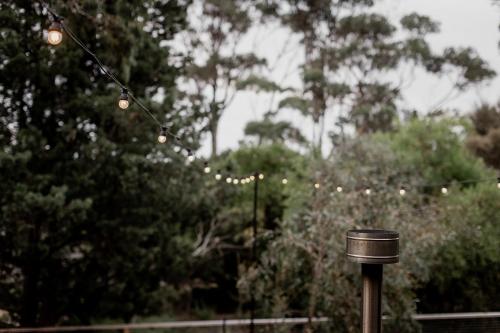 a pole with christmas lights in a park at 'Sisters' - Cliff top cabin with hot tub in Spring Beach
