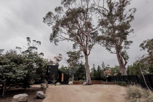 a house with two trees in front of it at 'Sisters' - Cliff top cabin with hot tub in Spring Beach