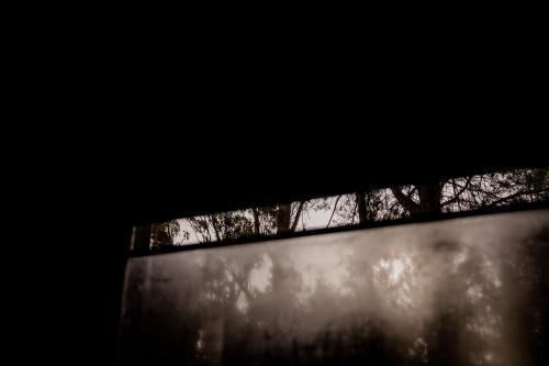 a view of trees from behind a window at 'Sisters' - Cliff top cabin with hot tub in Spring Beach