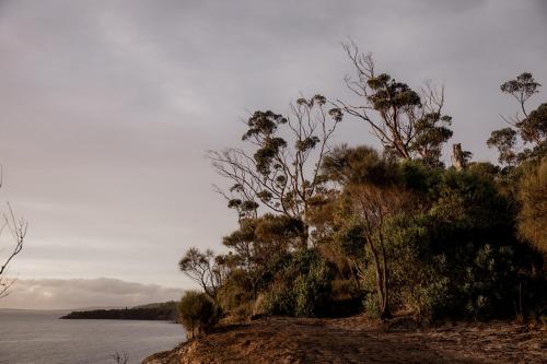 a hill with trees on it next to the water at 'Sisters' - Cliff top cabin with hot tub in Spring Beach