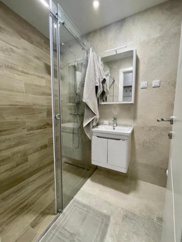 een badkamer met een douche en een wastafel bij 1 bedroom cosy apartment in Tivat