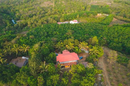 Gallery image of Tapovana - A heavenly retreat amidst a rubber plantation in Dodamarg