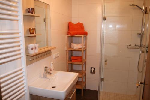 ein Bad mit einem Waschbecken und einer Dusche in der Unterkunft Ferienwohnung Kreidl in Schlitters