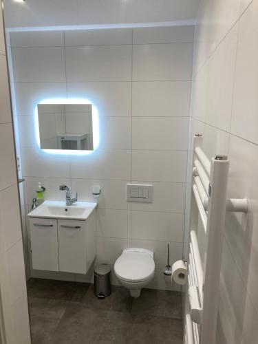 a bathroom with a toilet and a sink and a light at Ferienwohnung Heetberg in Beesten