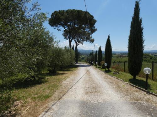 eine unbefestigte Straße mit Bäumen auf beiden Seiten in der Unterkunft SCAPPO IN UMBRIA, Casale in Castello delle Forme