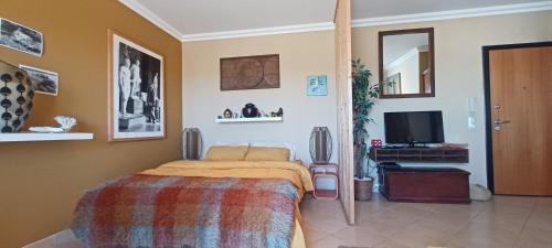 una camera con un letto e una televisione di Appartement - terrasse - vue mer a Pêra