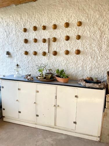 Fotografie z fotogalerie ubytování Spekboom Cottage v destinaci Calitzdorp