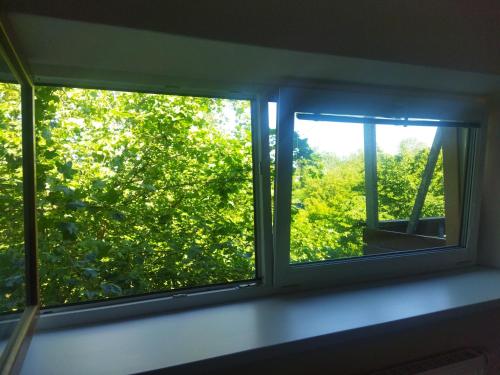 a window with a view of a tree at Topolský pivovar, restaurace a penzion in Topolná