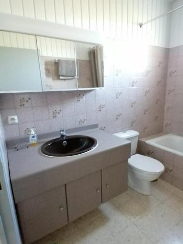 une salle de bain avec un lavabo et des toilettes dans l'établissement Gîtes Les Courrèges, à Vézac