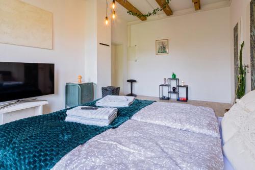 a bedroom with a bed and a flat screen tv at Boarding & Monteur Apartment CMTZ in Chemnitz