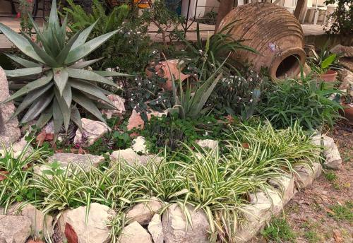 a garden with plants and rocks and a barrel at MAKIS STUDIOS KATELIOS in Katelios