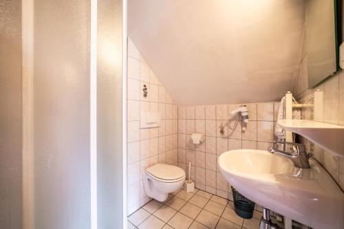 a small bathroom with a toilet and a sink at L' Abbaye in Abondance