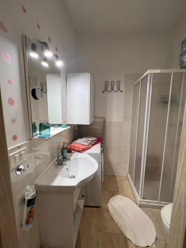 un bagno con lavandino e doccia di Casapiccy a Torino