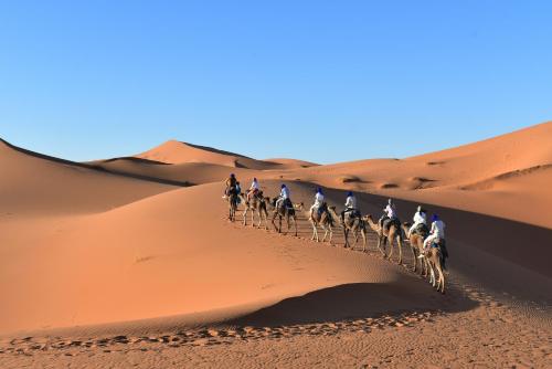 a group of people riding horses in the desert at Hôtel Camping La Liberté in Merzouga