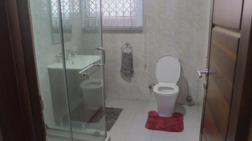 a bathroom with a toilet and a sink and a shower at Palm Court Apartment in Accra