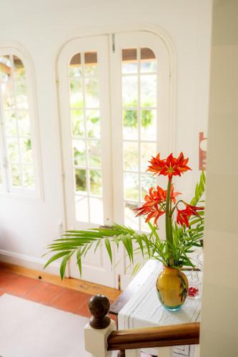 a vase with a red flower sitting on a table at Casa Da Piedade in São Vicente