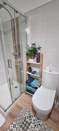 une salle de bain avec toilettes et douche dans l'établissement Chambre St-Loup, à Saint-Mathieu-de-Tréviers