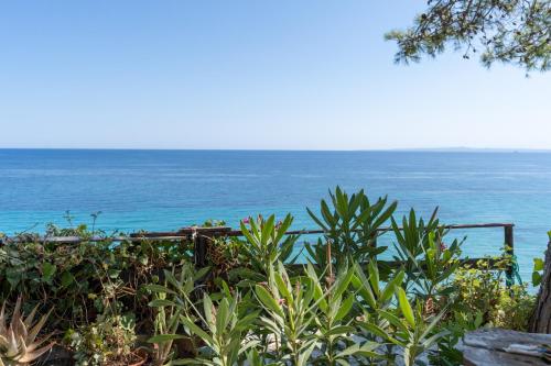 a view of the ocean from a garden at SkyBlue Horizon Studio 1 in Tsilivi