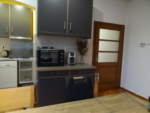 cocina con encimera, microondas y fregadero en House with garden, en Sibiu