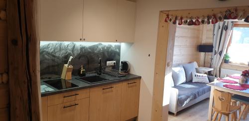 a kitchen with a sink and a couch in a room at Domeczek Góralski Zakopane in Zakopane