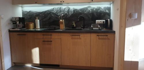 a kitchen with a sink and a counter top at Domeczek Góralski Zakopane in Zakopane