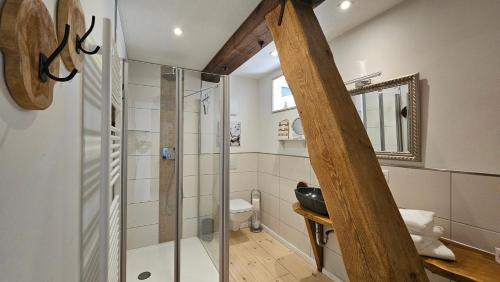 ein Badezimmer mit Glasdusche und Toilette in der Unterkunft Speicherresidenz N 0,1 in Barth