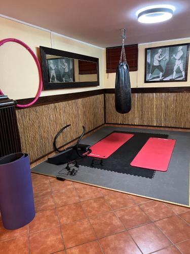 a room with a gym with a red and black floor at Runas Air Muc Park Sleep & Fly in Hallbergmoos
