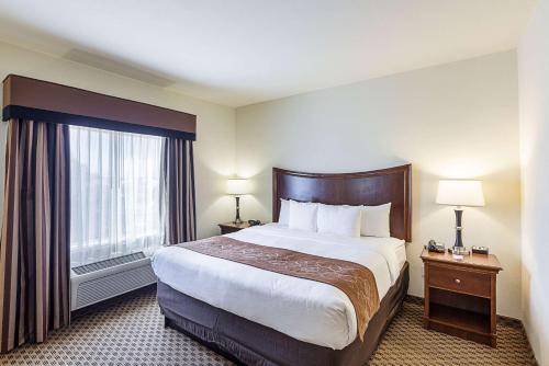 Comfort Suites San Antonio North - Stone Oak Image
