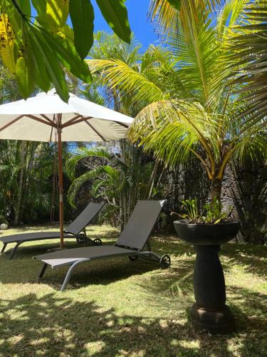 Taman di luar Tropical Villas - Pointe d'Esny