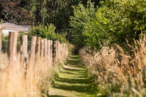 a path with grass and trees next to a fence at Tiny House Stijl & natuur nabij Brugge! in Beernem