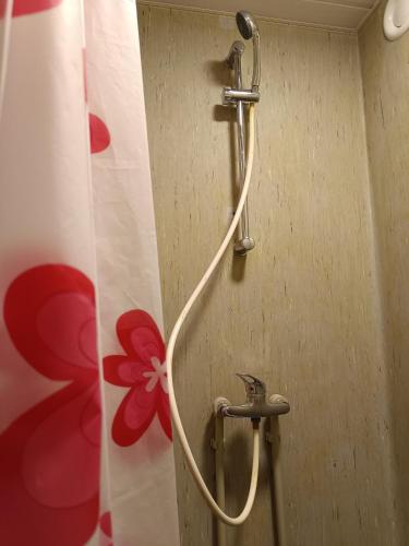 a shower with a hose attached to a wall at Templis in Jelgava