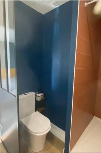 La salle de bains est pourvue de toilettes blanches dans un mur bleu. dans l'établissement Magnifique duplex avec jardin, à Rivière-Saas-et-Gourby