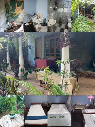 a collage of photos of a patio with tables and plants at SIGIRI HUNTER'S HOMESTAY & Hostel in Sigiriya