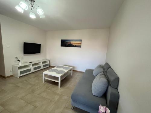 a living room with a couch and a tv at Apartament Orzysz in Orzysz