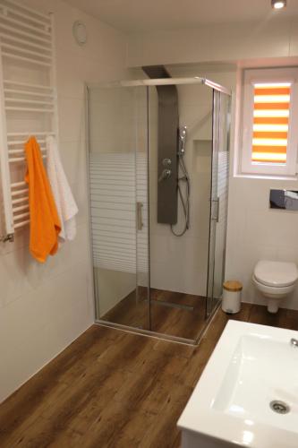 a bathroom with a glass shower and a toilet at Apartamenty Zator Energy Rest in Zator