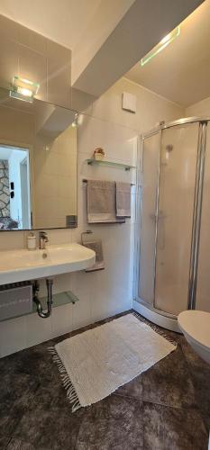 a bathroom with a shower and a sink at Apartman Chilli in Dramalj